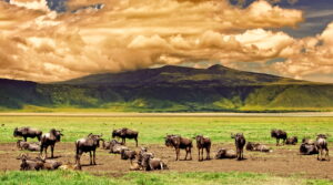 Scenic views during a 1 Day Ngorongoro Crater Safari with Rowin Africa Safaris