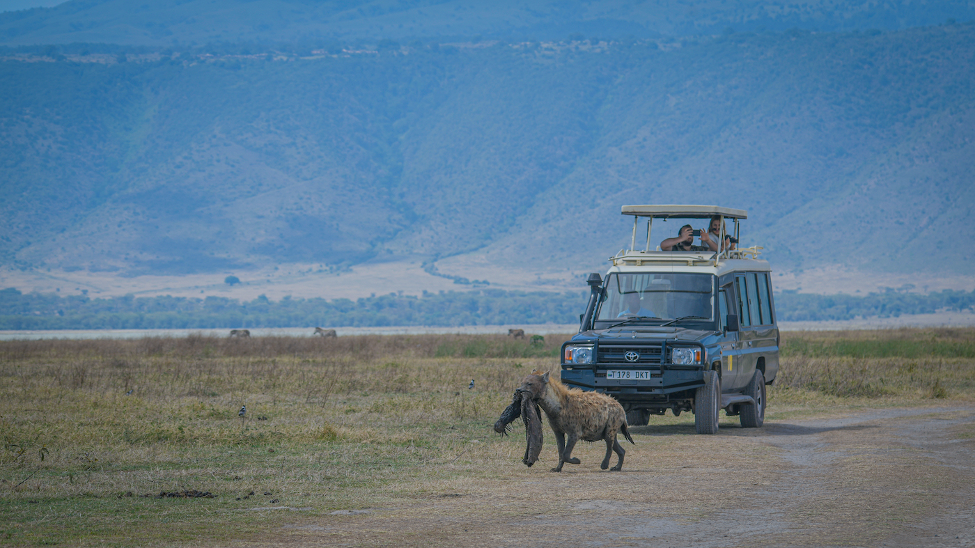 Game Drive in Tanzania