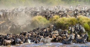 Mara River Crossing - 5-Day Luxury Masai Mara Migration Safari 