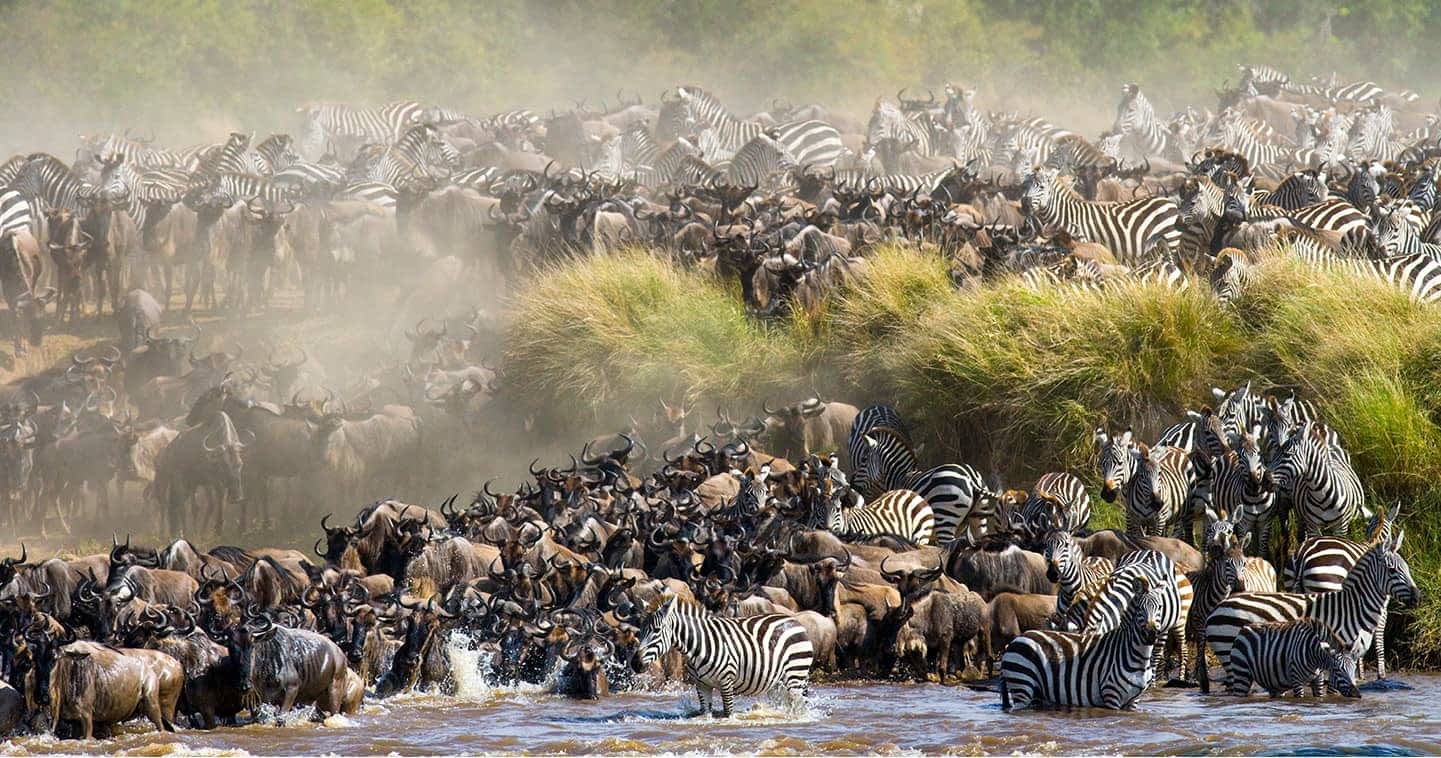 Mara River Crossing - 5-Day Luxury Masai Mara Migration Safari