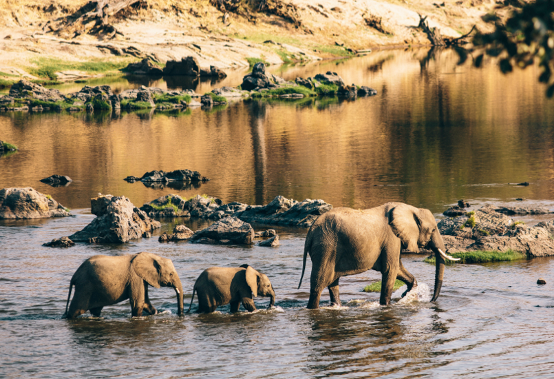 10 Days Tanzania Safari and Zanzibar Holiday